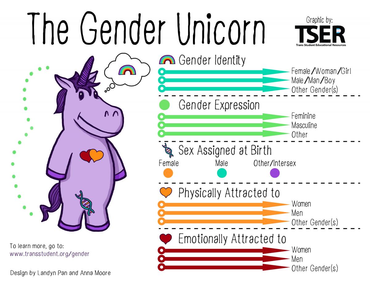 The Gender Unicorn infpgraphic shows difference between gender identity, expression, sex assigned at birth, and attraction